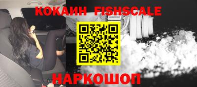 амф Кингисепп