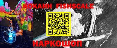 амф Кингисепп