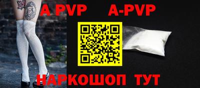 амф Кингисепп