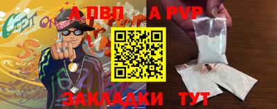 амф Кингисепп
