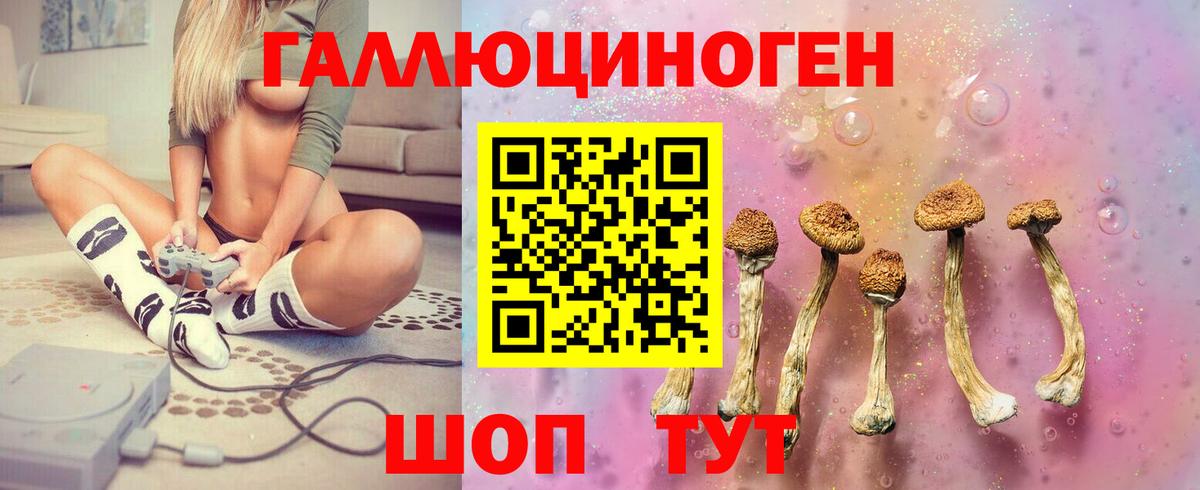 Псилоцибиновые грибы MAGIC MUSHROOMS Бирск